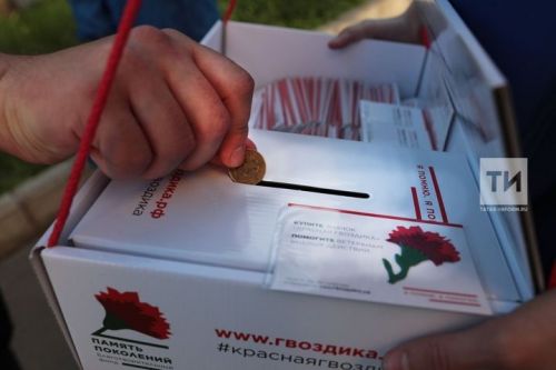 Татарстанцы смогут принять участие в акции «Красная гвоздика» и помочь ветеранам