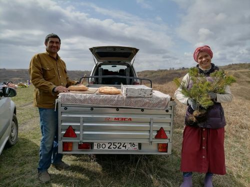 Первозданный лес сажали в Антоновке