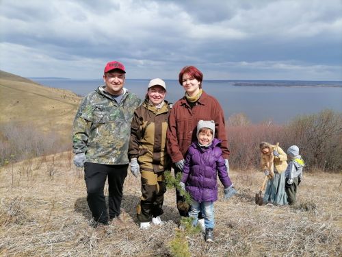 Первозданный лес сажали в Антоновке