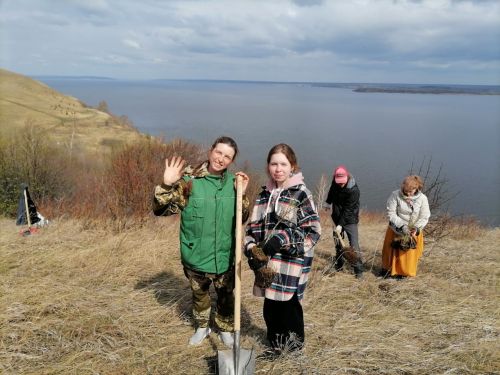 Первозданный лес сажали в Антоновке
