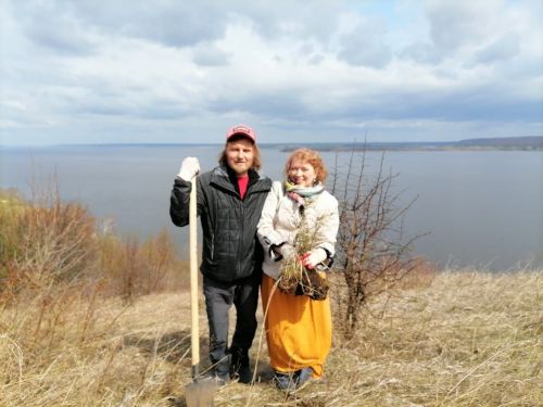 Первозданный лес сажали в Антоновке
