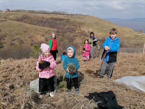 Первозданный лес сажали в Антоновке