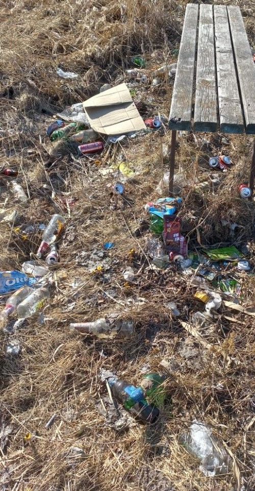 Осталась одна скамейка и около той нет урны