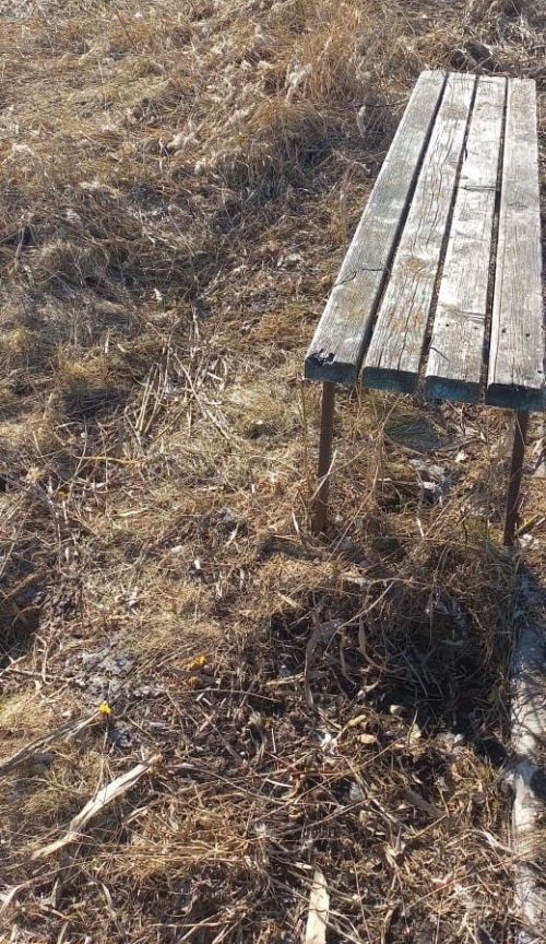 Осталась одна скамейка и около той нет урны