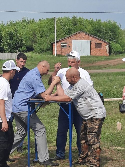 В Малых Салтыках прошел День деревни