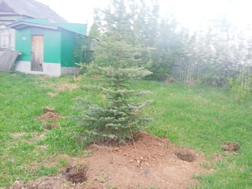 Дружная команда на улице Дружба