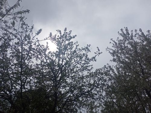 Прогноз погоды на завтра