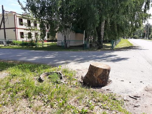 Жители Затона бьют тревогу