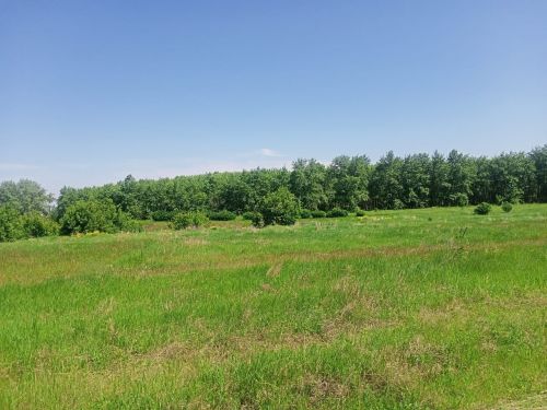 Погода в Камском Устье на завтра