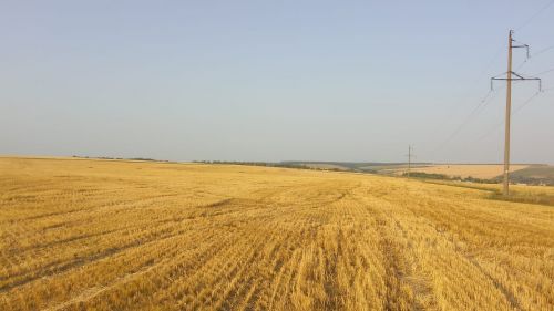 Излишки соломы не в костер, а населению