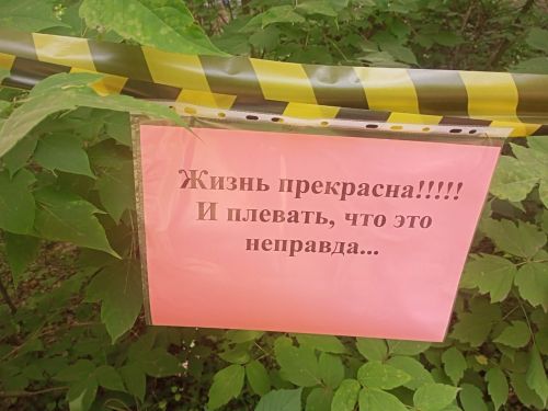 Грушинский: уже полвека люди встречаются у Гитары