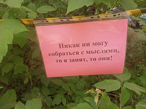 Грушинский: уже полвека люди встречаются у Гитары