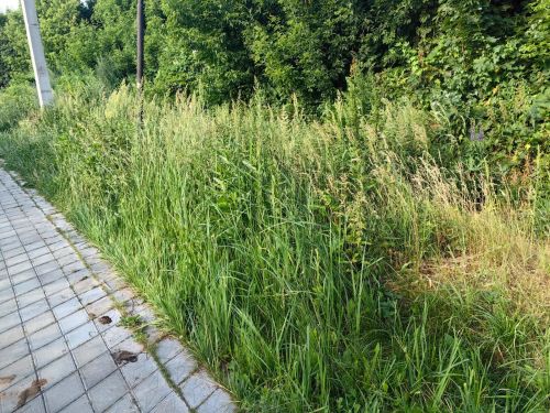 Даже на отдыхе Зиннат Хуснутдинов не сидит сложа руки