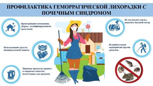 Против геморрагической лихорадки поможет профилактика