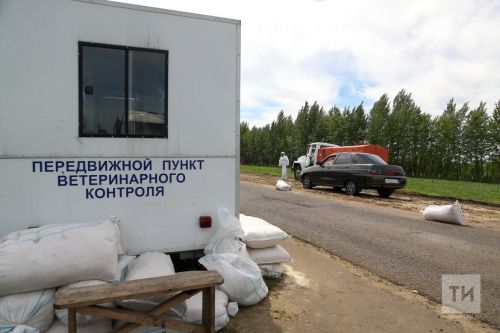 Новый очаг сибирской язвы возник в России