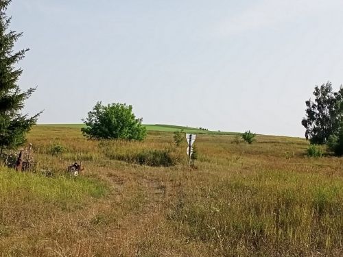 Деревня Новосергиево живет, потому что ее помнят