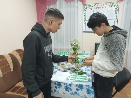 Каникулы у ребят проходят нескучно