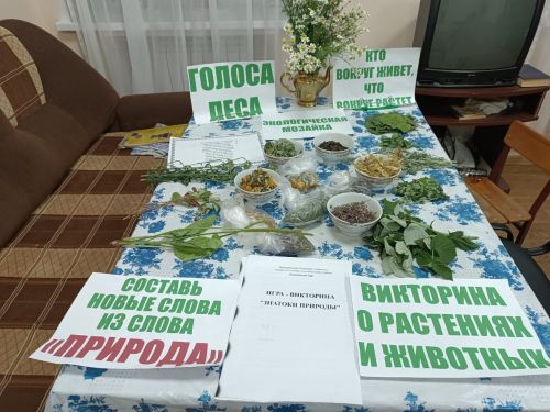 Каникулы у ребят проходят нескучно