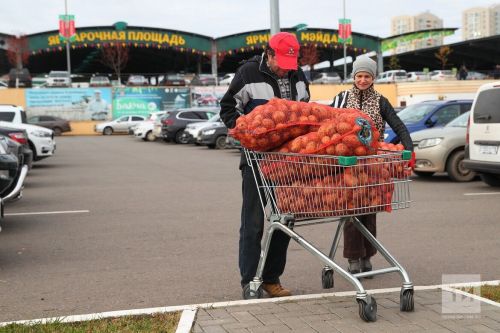 Казанцы на первой осенней сельхозярмарке купили продукции на 54 млн рублей