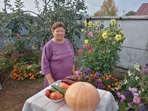 Соцработники помогают пожилым в сборе урожая