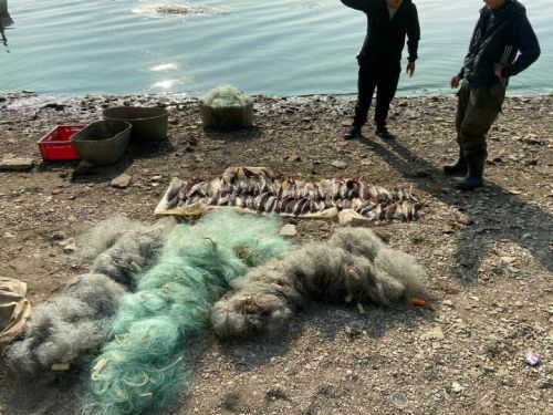 На Волге и Каме задержали 21 браконьера в 2023 году