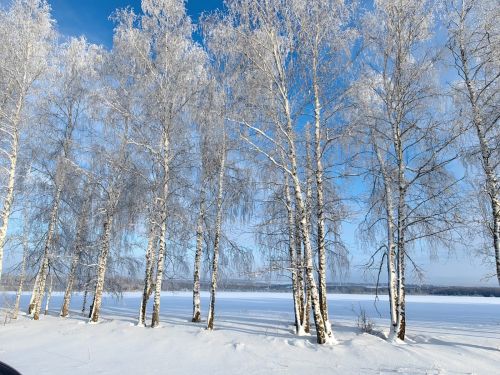 В Рождественском небе была радуга