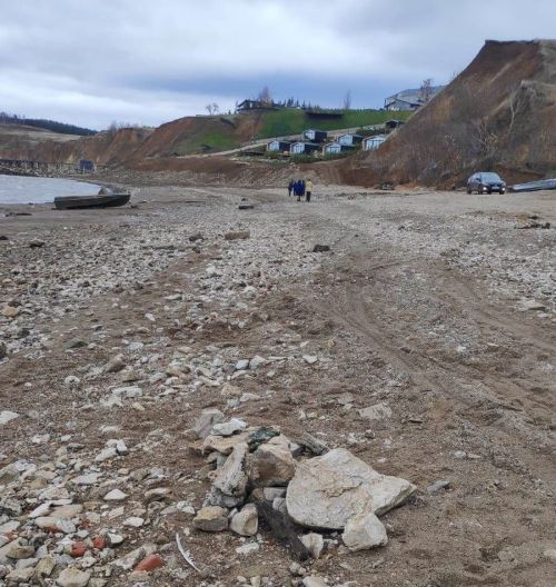 Женщина откопала в огороде человеческий скелет