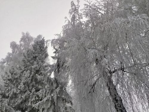 Завтра погода особо не изменится