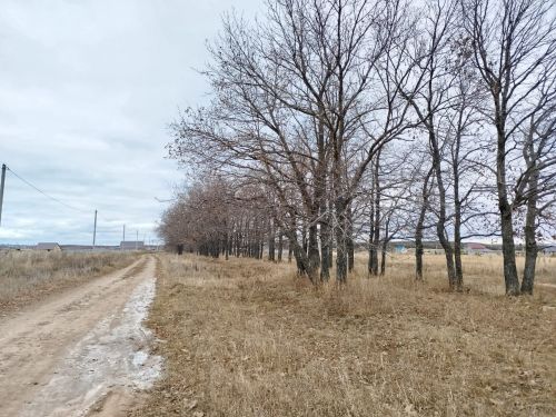 Ночью и днем заморозки, на дорогах гололедица