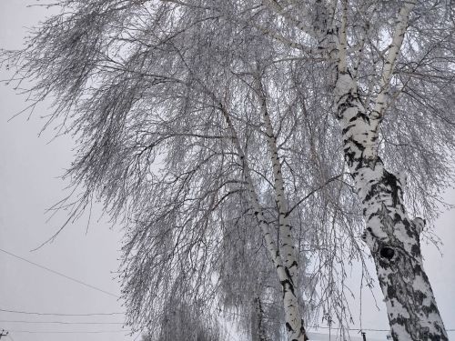 Ночью и утром  до -10˚, на дорогах гололедица