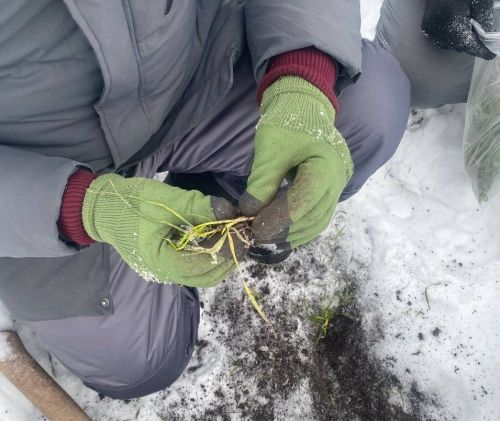Высота снежного покрова превышает норму в два раза