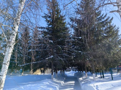 Погода в Камском Устье на 18 марта