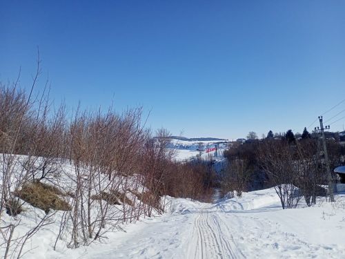Зима не торопится уходить