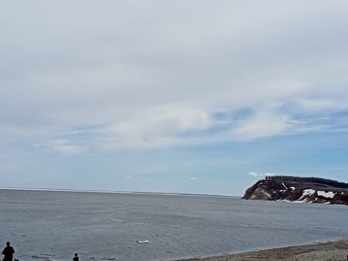 Весна в Камском Устье: первые цветы, река Волга и гора Лобач