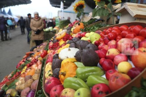 Рекомендации при покупке семян овощных и цветочных культур