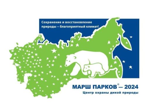 Камскоустьинцев приглашают принять участие в экологических конкурсах в рамках акции «Марш парков – 2024»