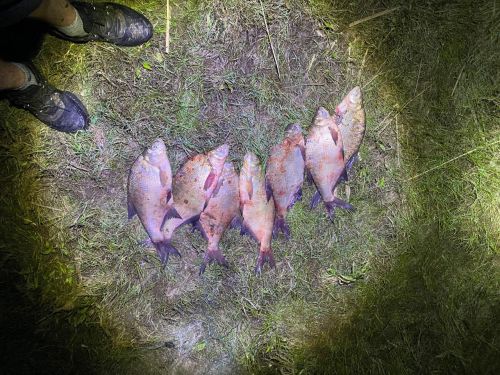 Транспортная полиция  пресекла два факта  браконьерства