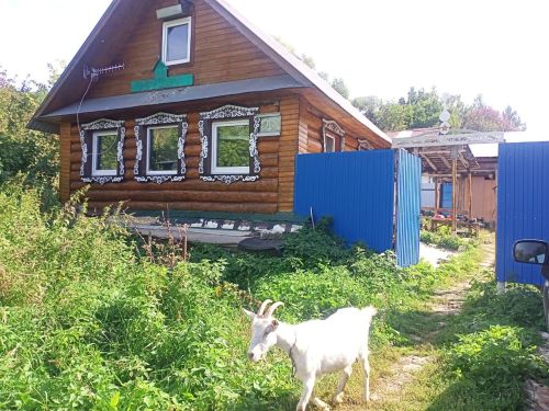 Новосергиево: здесь начинается Родина