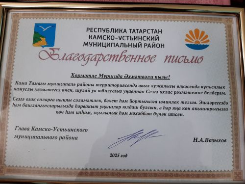Сход граждан прошел в Клянчеево
