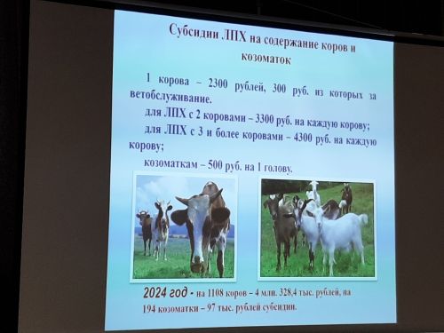 Сход граждан прошел  в Больших Клярях