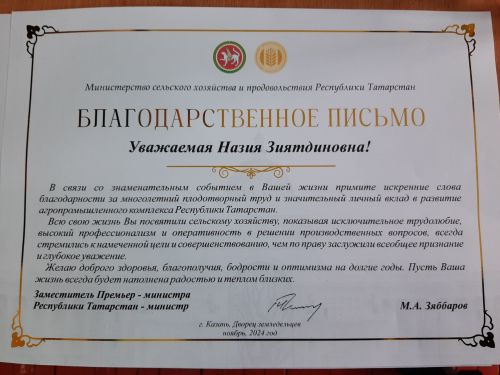 Сход граждан прошел в Клянчеево