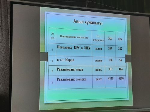 Сход граждан прошел  в Больших Клярях