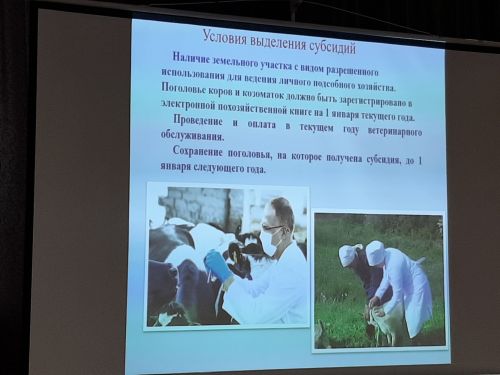 Сход граждан прошел  в Больших Клярях