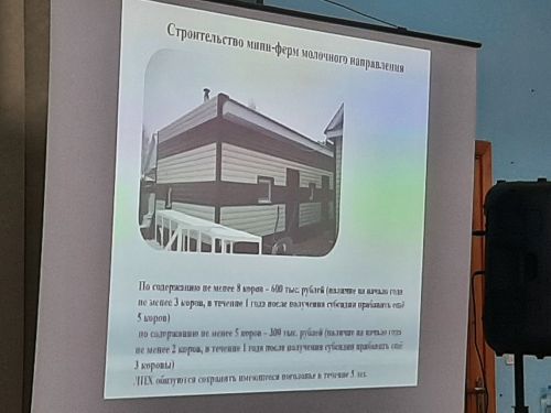 Сход граждан прошел в Клянчеево