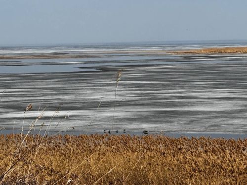 Похолодание и дожди сменят теплую погоду в Камском Устье