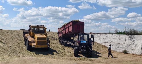 Терлек азыгы да әзерлиләр, яңа җайланмаларда да эшлиләр