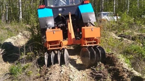 В Татарстане провели работы по уходу за молодыми деревьями на площади 11,3 тысячи гектаров