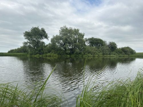 Опасные воды: за сутки в Татарстане погибли 5 человек