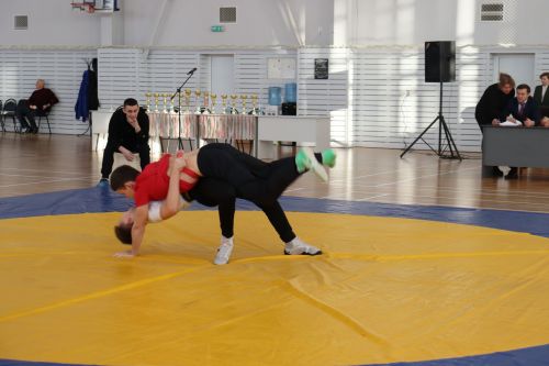 На борцовский ковер в Камском Устье вышли 87 спортсменов