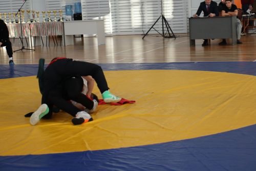 На борцовский ковер в Камском Устье вышли 87 спортсменов